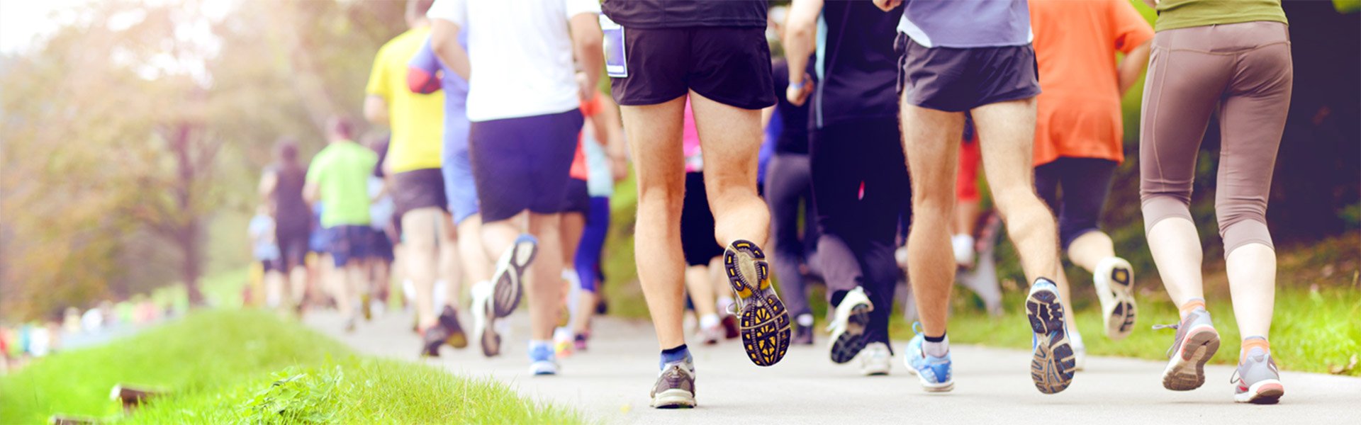 Banner-images_2